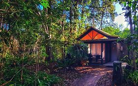 Byron Bay Rainforest Resort